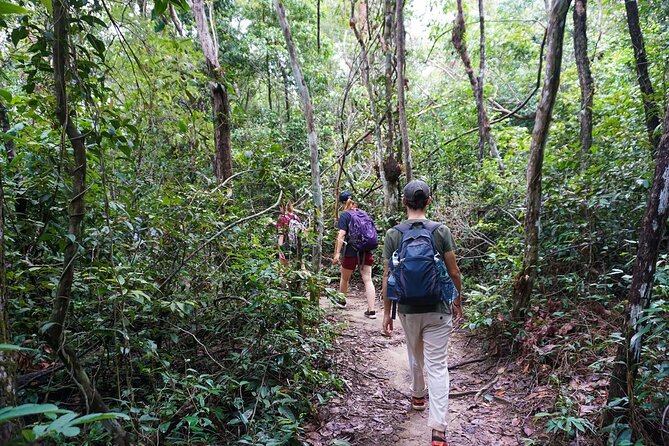 Jungle Trekking Tour at Phnom Kulen National Park from Siem Reap - Stop-by-Stop: From Preah Ang Choub to the Reclining Buddha and Falls