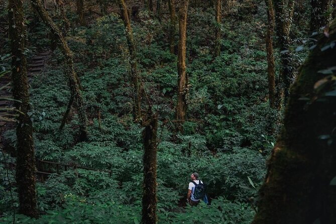 Jungle Wisdom Survival Trek - What you learn in this trek (and what to realistically expect)