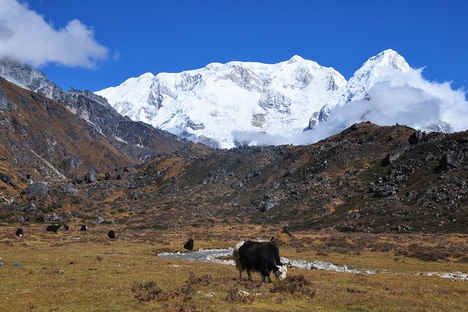Kanchenjunga Circuit Trek - Yalung Base Camp and Selela Pass: High Country Payoff