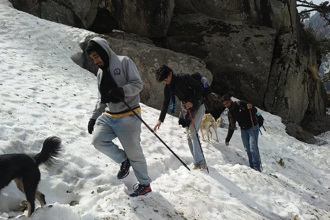 Kareri Lake Trek & Indrahar Pass Trek - Day 2: The long trek to Kareri Lake, Lord Shiva temple, and real sightseeing time