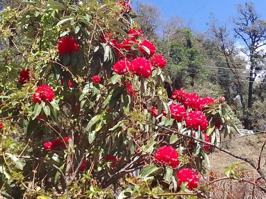 Kathmandu: 10-Day Adventurous Annapurna Circuit Trek - Thorong La at 5,416m: The Moment This Trip Keeps Promising