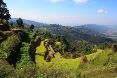 Kathmandu: 2 Nights 3 Days Chisapani Nagarkot Trek - Private Guide, Permits, and Transfers: The Logistics I Appreciate