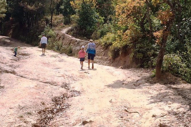 Kathmandu: 2 Nights 3 Days Chisapani Nagarkot Trek - How Hard Is It Really? Pace, Stairs, and Beginner Fitness