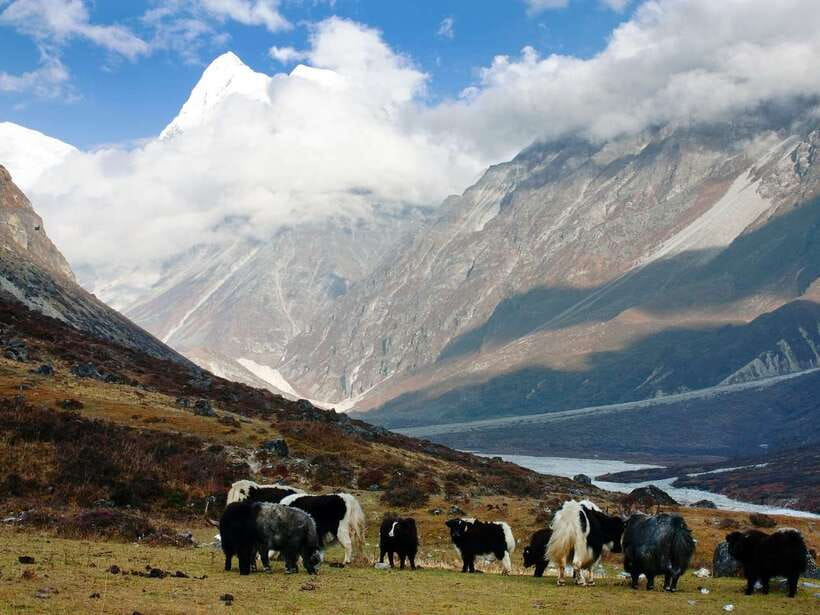 Kathmandu: 6 Days Langtang Valley Trek with Kyanjin Ri - Optional Kyanjin Ri Hike: The Tough Climb That Pays Off