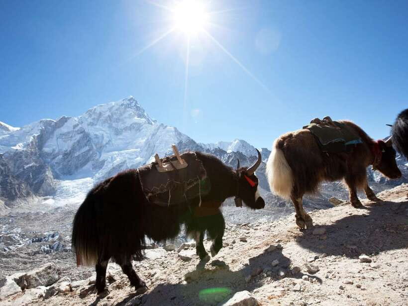 Kathmandu: 6 Days Langtang Valley Trek with Kyanjin Ri - Ghoda Tabela (and the Waterfall/Forest Moments) at Around 2,900m