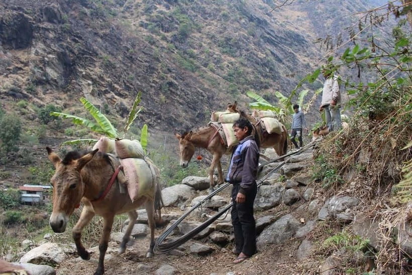 Kathmandu: 9-Day Annapurna Circuit Trek via Thorong La Pass - Muktinath: finishing the trek with pilgrimage energy