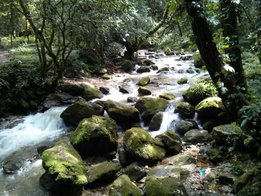 Kathmandu: Chisapani Nagarkot 3-Days 2-Nights Trek - Key Things That Make This Nagarkot Trek Worth It