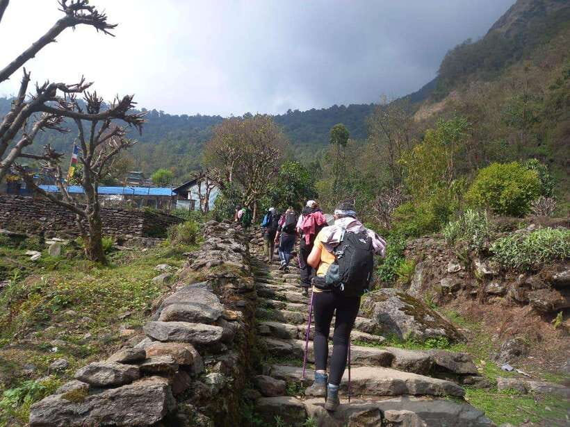Kathmandu/Pokhara: 5-Day Annapurna Base Camp (ABC) Trek - Day 5: Jhinu Danda Hot Springs to Simrung, Then Back to Pokhara