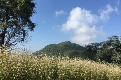 Kathmandu Valley Rim Trekking - 3 days - Forest-to-village walking: how the route really plays out