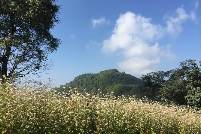 Kathmandu Valley Rim Trekking - 3 days - Forest-to-village walking: how the route really plays out