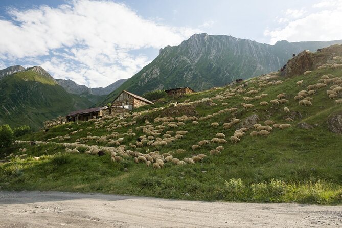 Kazbegi - One Day Private Trekking Tour to Truso Valley - What to pack: trekking shoes, layers, and your own water/snacks