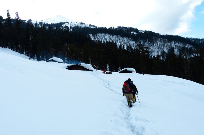 Kedarkantha Trek - Quick hits you’ll feel on the trail