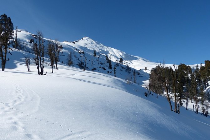 Kedarkantha Trek - Juda to Kedarkantha base camp: the forest feels close, the pace steadier