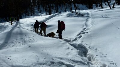 Kedarkantha Trek - Sankri and the Juda climb: start easy, get altitude-aware fast