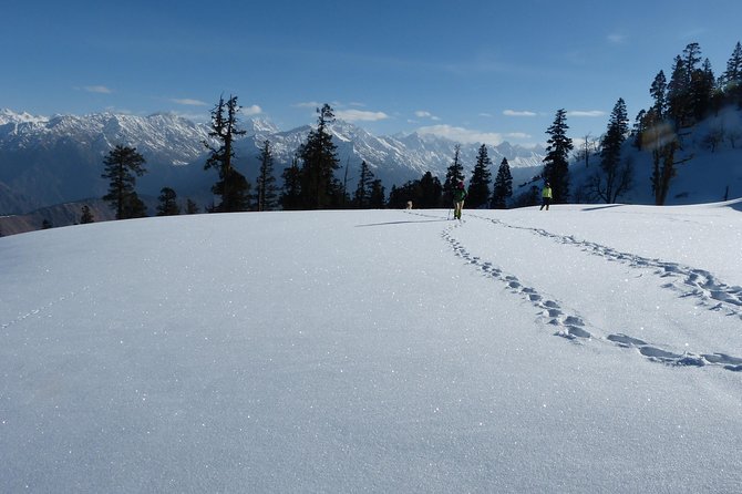 Kedarkantha Trek - Summit day from 11,250 to 12,500 feet: short, steep, and worth it