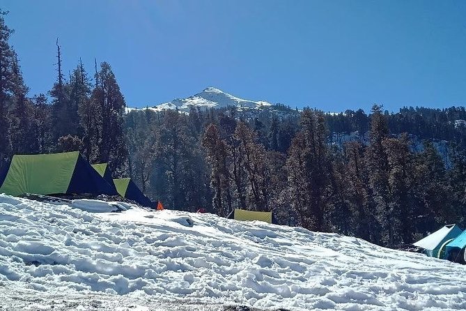 Kedarkantha Trek (Dehradun to Dehradun) - Day 1: Dehradun to Sankri (the 200 km head start)