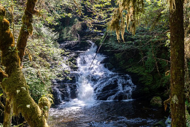 Ketchikan Magical Old-Growth Creek Trek Guided Tour - Key things to know before you go