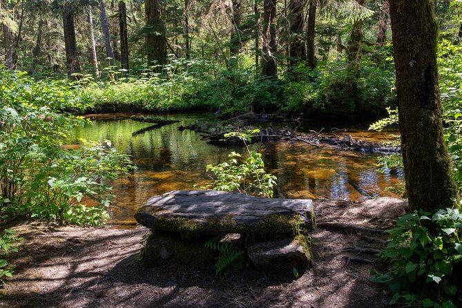 Ketchikan Magical Old-Growth Creek Trek Guided Tour - What the guide adds: endangered forests and practical protection