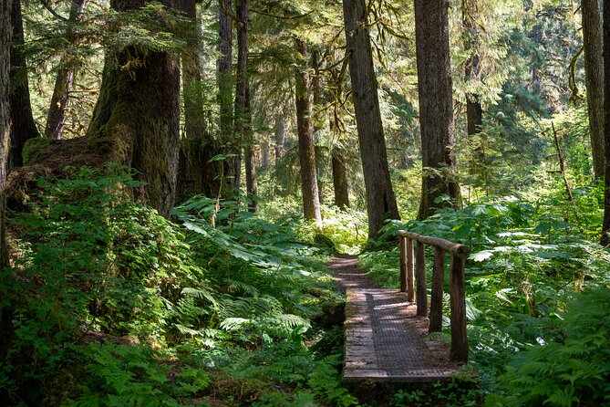 Ketchikan Magical Old-Growth Creek Trek Guided Tour - Who this trek fits best (and who might not love it)