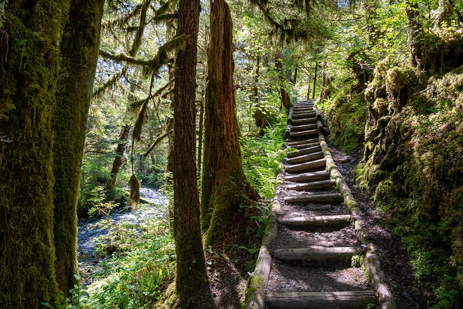 Ketchikan Magical Old-Growth Creek Trek Guided Tour - The creek walk: waterfalls, river bends, and the stone-bench pause