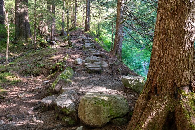 Ketchikan Mountain Lake Trek to Avalanche Chute - Why this Tongass hike feels different than the usual port excursion