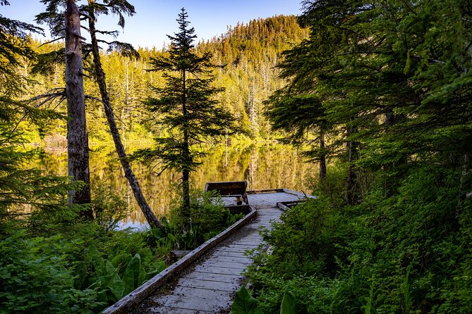 Ketchikan Mountain Lake Trek to Avalanche Chute - Gear and comfort: what’s provided, what you should plan for