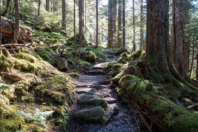 Ketchikan Mountain Lake Trek to Avalanche Chute - Price and value: is $258.18 per person fair?