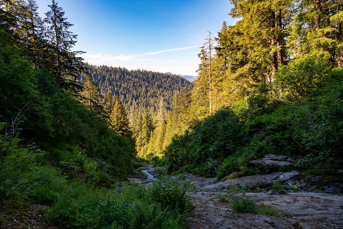 Ketchikan Mountain Lake Trek to Avalanche Chute - Logistics without stress: meeting points that actually matter