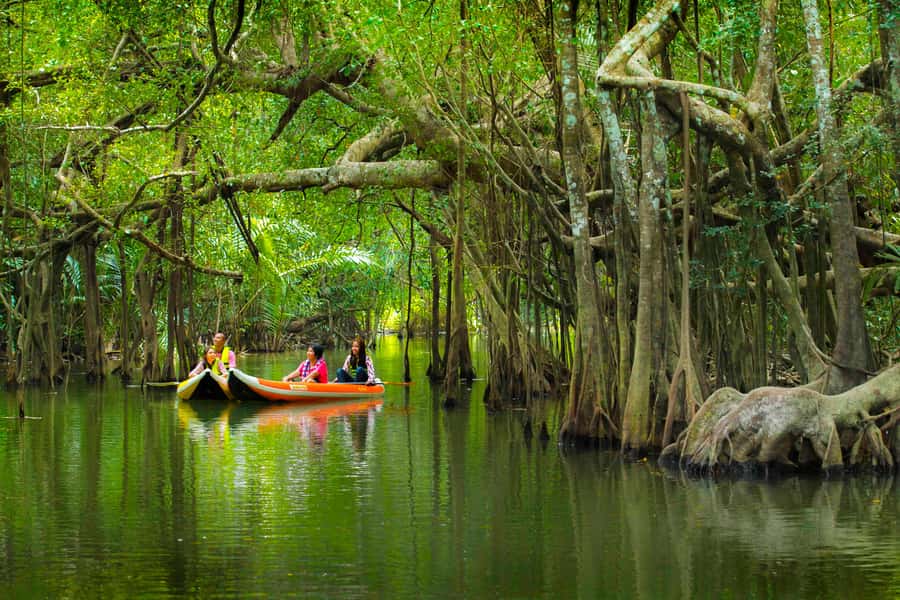 Khao Lak's Little Amazon: Canoe, Trek & Waterfall Day Trip - From Khao Lak pickup to the river: timing and the van reality