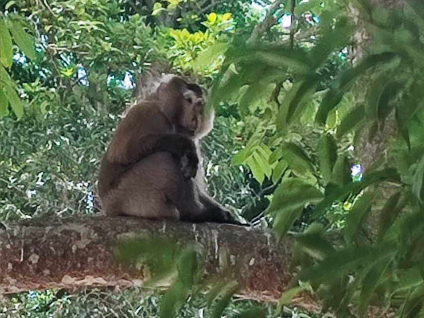 Khao Sok Jungle Day Trip - Jungle Trekking & Bamboo Rafting - River lunch in a jungle setting (and why it’s timed right)