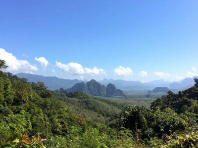 Khao Sok Jungle Day Trip - Jungle Trekking & Bamboo Rafting - Jungle trekking in Khao Sok: guide-led, but not rushed