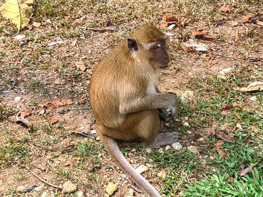 Khao Sok Jungle Day Trip - Jungle Trekking & Bamboo Rafting - Bamboo rafting on the Sok River: what the ride is really like