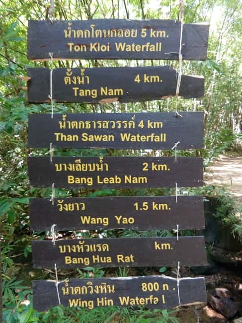 Khao Sok Jungle Day Trip - Jungle Trekking & Bamboo Rafting - Jungle coffee tasting: small break, big personality