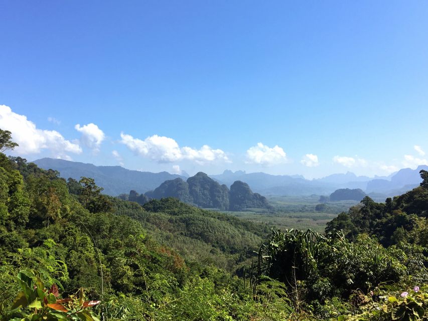 Khao Sok Jungle Day Trip - Jungle Trekking & Bamboo Rafting - Jungle trekking in Khao Sok: guide-led, but not rushed