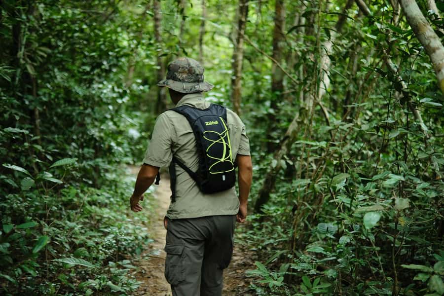 Khao Sok: Private Day Trekking, Jungle Dinner & Night Safari - Key highlights to know before you go