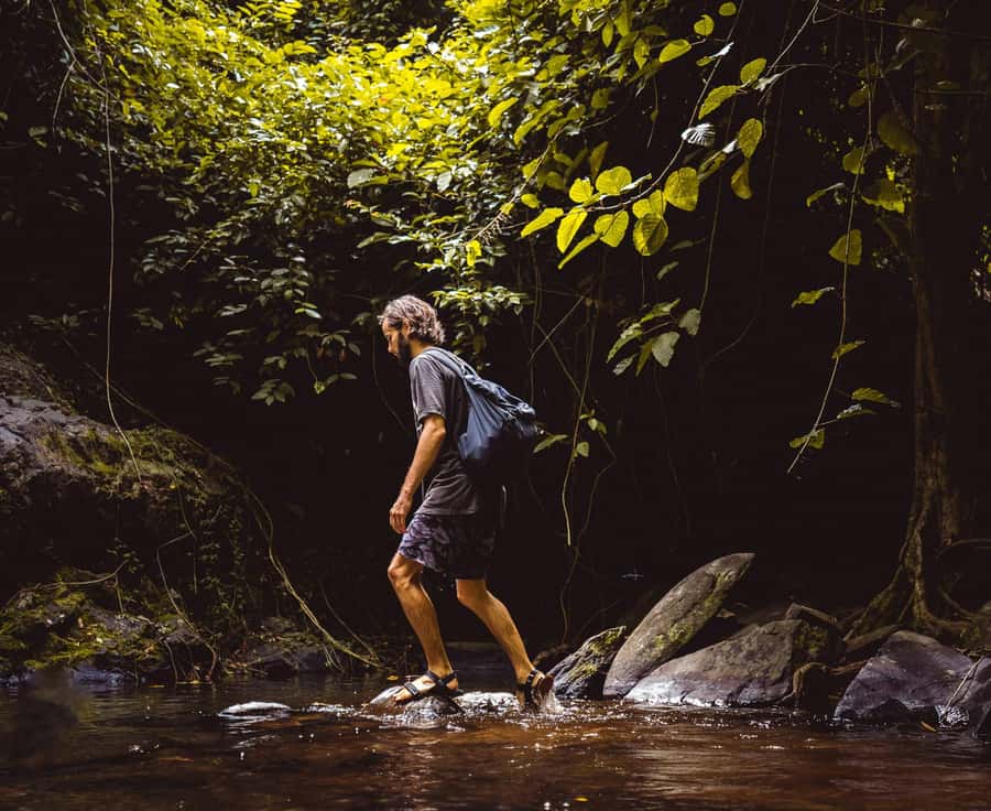 Khao Sok: Private Day Trekking, Jungle Dinner & Night Safari - Night safari after sunset: nocturnal wildlife and guide-led timing