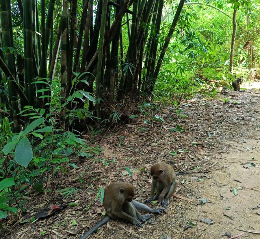 Khao Sok: Private Day Trekking, Jungle Dinner & Night Safari - Price and value: what $192 gets you (and why it’s not cheap)