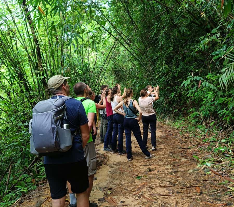 Khao Sok: Private Day Trekking, Jungle Dinner & Night Safari - Who this private jungle day fits best