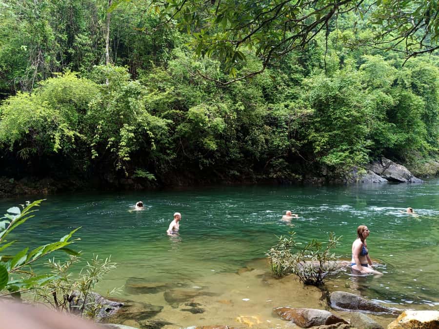 Khao Sok: Private Jungle Trek, Waterfall Swim & Bamboo Lunch - Rainforest Trek With a Real Rhythm: From Khao Sok Pickup to Trails