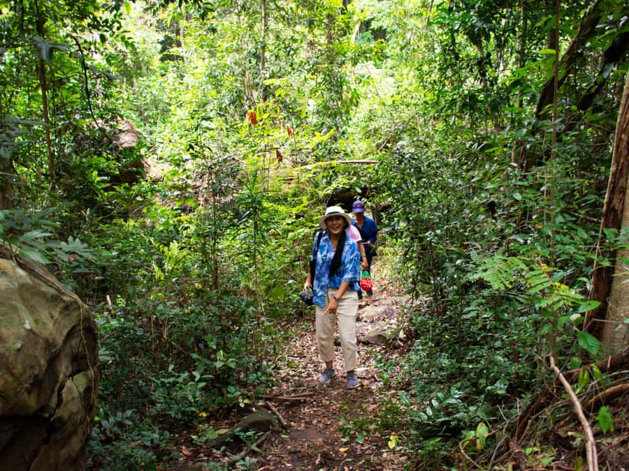 Khao Sok: Private Jungle Trek, Waterfall Swim & Bamboo Lunch - Waterfall Swim Time: Cooling Off in a Hidden Spot