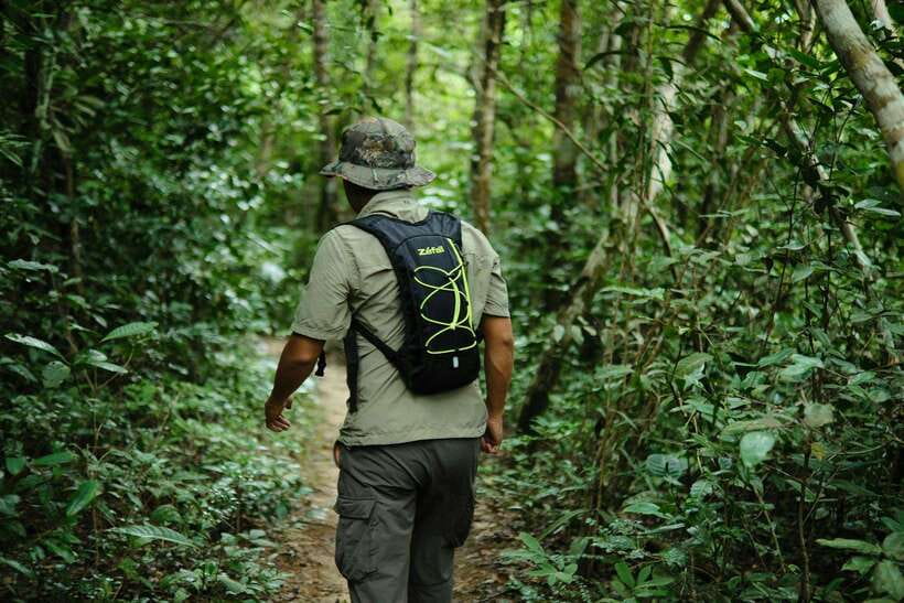 Khao Sok: Private Waterfalls and Wildlife Half-Day Trek - A Balanced Take: The Best Parts and the Possible Letdowns