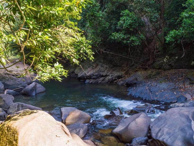 Khao Sok: Private Waterfalls and Wildlife Half-Day Trek - Price and Logistics: Is $48 Good Value