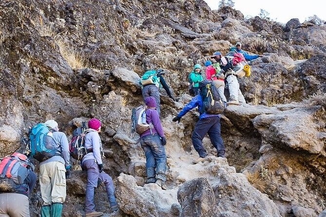 Kilimanjaro 7 Day Private Trekking Experience - Day 7: Final Descent Through Rainforest to Mweka Gate, Beer, and Hot Shower Time