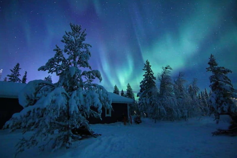 Kiruna: Snowshoe Trek with Aurora Hunt and Warm Beverage - The trek itself: what you’ll do for those 3 hours