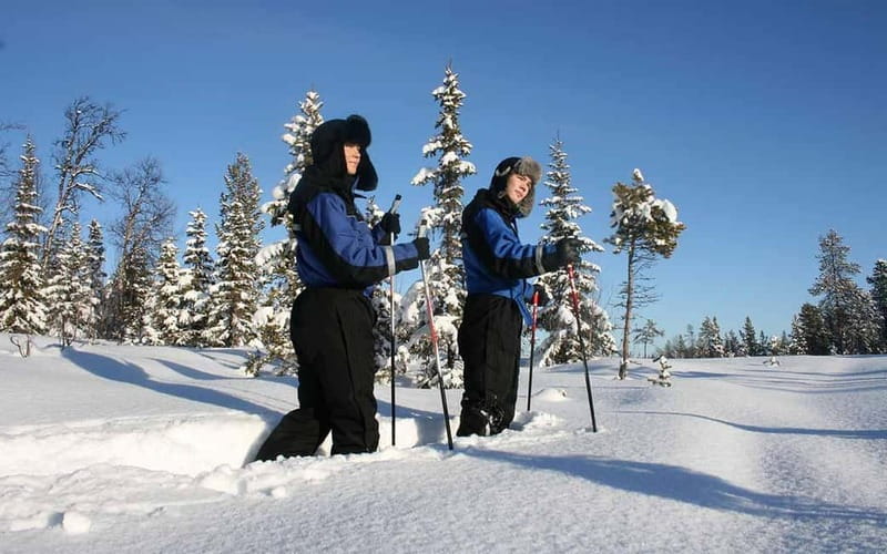 Kiruna: Snowshoe Trek with Warm Beverage and Sandwich - Key things that make this trek worth your time