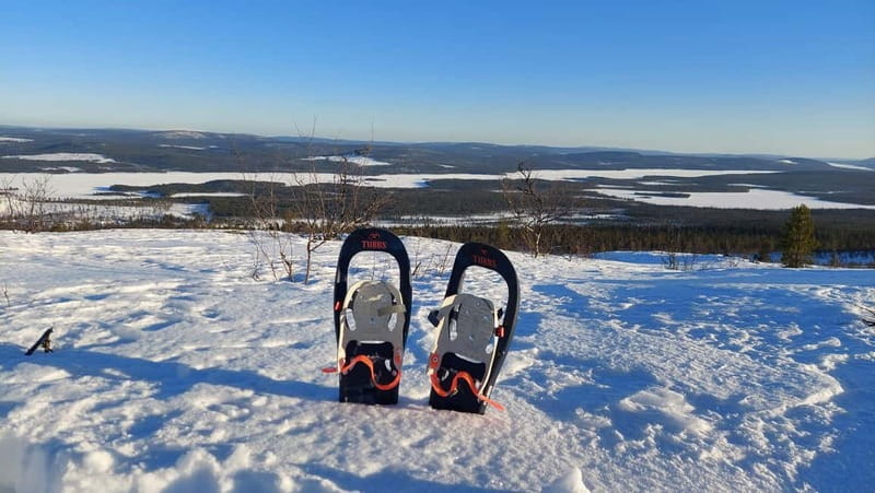 Kiruna: Snowshoe Trek with Warm Beverage and Sandwich - The Hike Itself: About 45 Minutes Up the Mountain