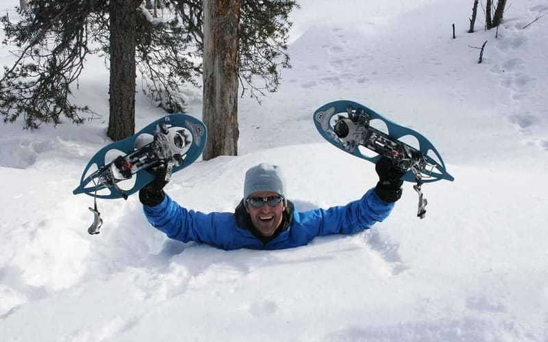 Kiruna: Snowshoe Trek with Warm Beverage and Sandwich - Price Value: Why About $143 Makes Sense Here