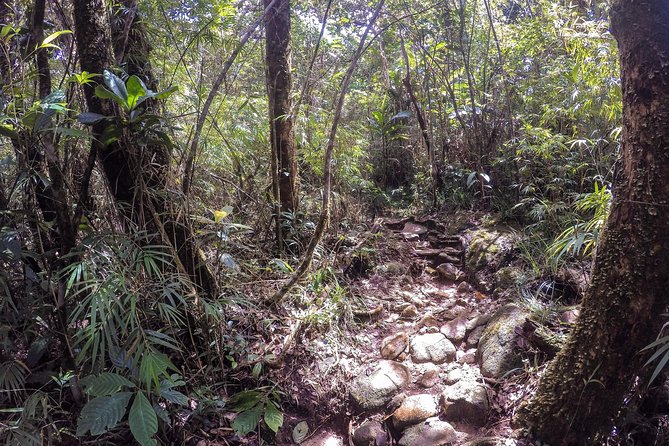 Knuckles Leopard trail Trek from Kandy - How challenging is the Knuckles Leopard Trail trek?