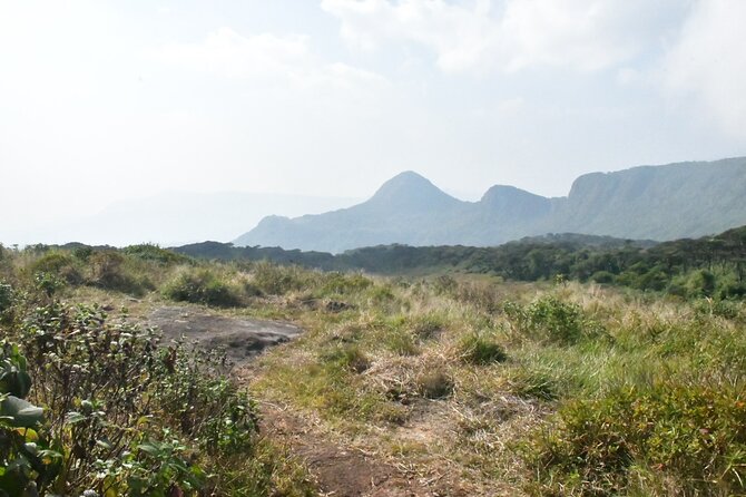 Knuckles Leopard trail Trek from Kandy - Price and value: what $100 per person really covers