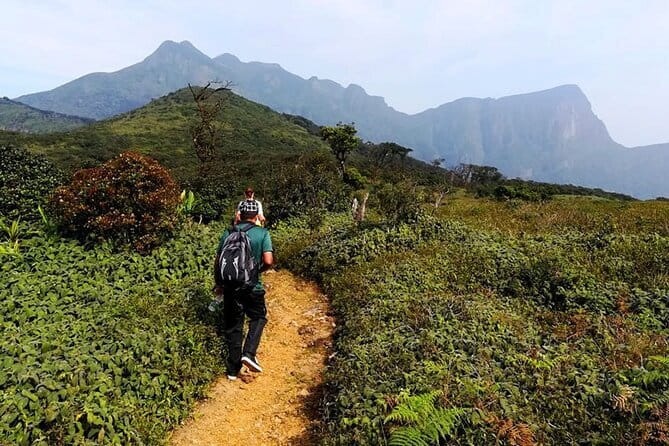 Knuckles Mountain Range Hiking and Trekking Day Tour From Kandy Hotels - Knuckles Mountain Range: where your trek actually leads
